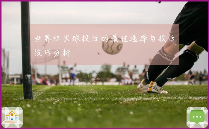 世界杯买球投注的最佳选择与投注技巧分析