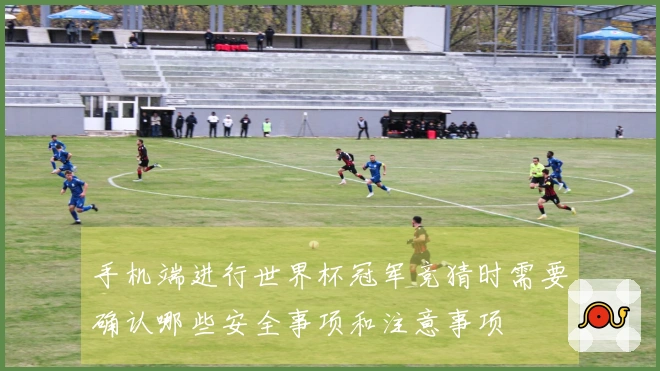手机端进行世界杯冠军竞猜时需要确认哪些安全事项和注意事项