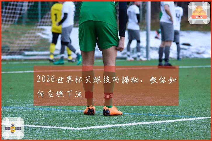2026世界杯买球技巧揭秘，教你如何合理下注