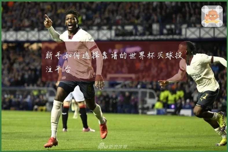新手如何选择靠谱的世界杯买球投注平台