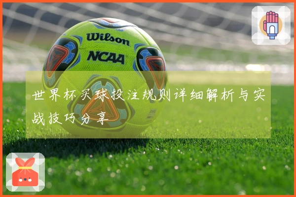 世界杯买球投注规则详细解析与实战技巧分享
