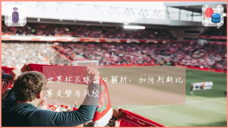 世界杯买球盘口解析，如何判断比赛走势与风险
