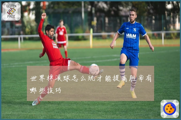世界杯滚球怎么玩才能提高胜率有哪些技巧