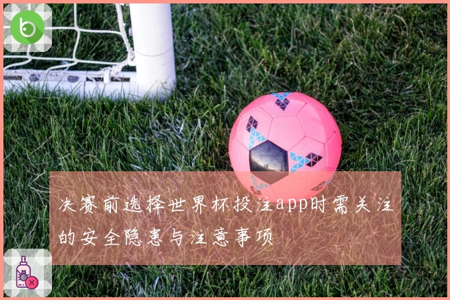 决赛前选择世界杯投注app时需关注的安全隐患与注意事项