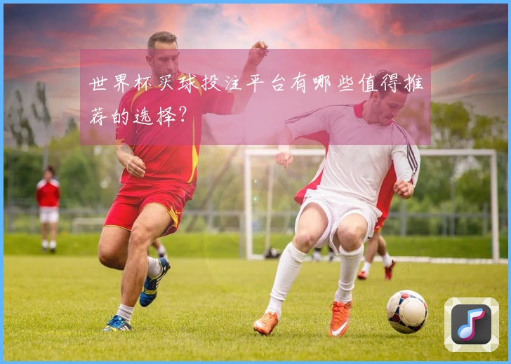 世界杯买球投注平台有哪些值得推荐的选择？