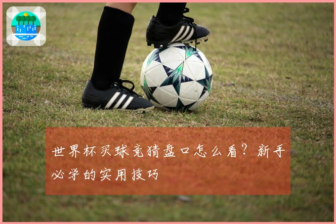 世界杯买球竞猜盘口怎么看？新手必学的实用技巧