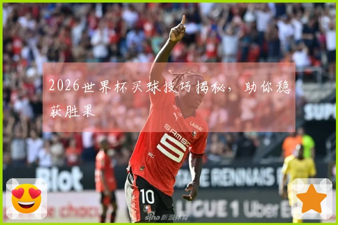 2026世界杯买球技巧揭秘，助你稳获胜果