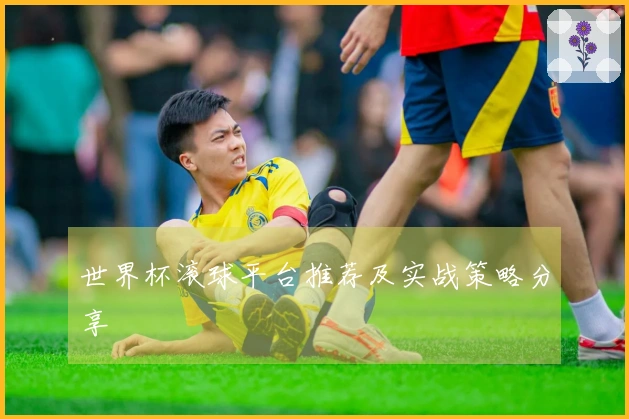 世界杯滚球平台推荐及实战策略分享