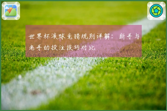 世界杯滚球竞猜规则详解：新手与老手的投注技巧对比