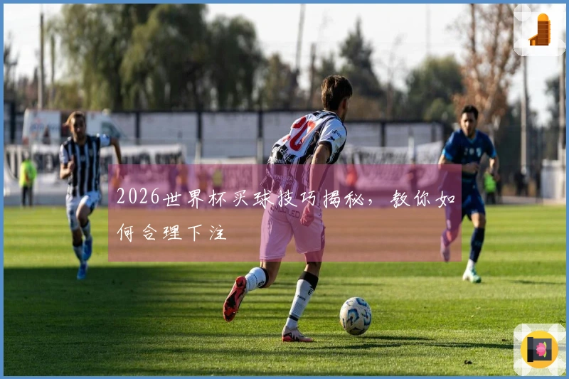 2026世界杯买球技巧揭秘，教你如何合理下注