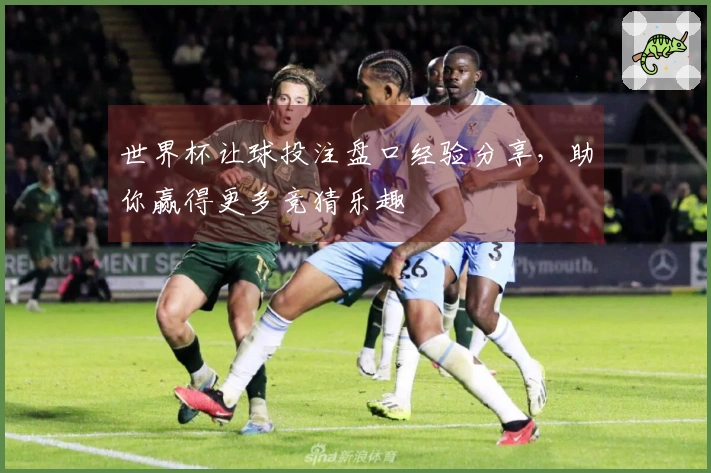 世界杯让球投注盘口经验分享，助你赢得更多竞猜乐趣