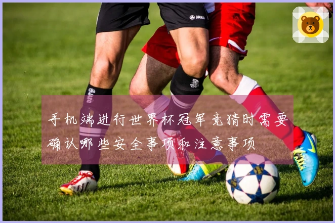 手机端进行世界杯冠军竞猜时需要确认哪些安全事项和注意事项