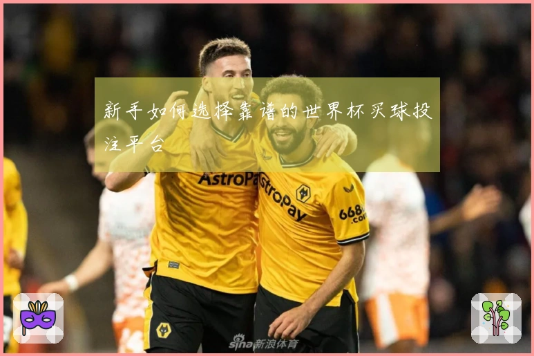 新手如何选择靠谱的世界杯买球投注平台
