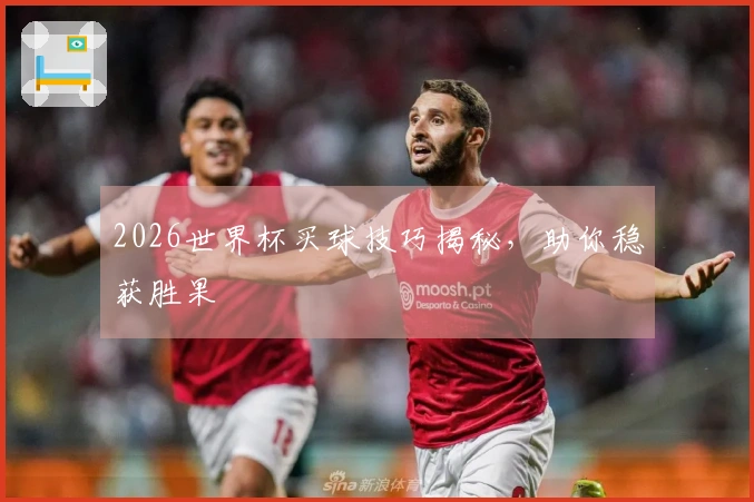 2026世界杯买球技巧揭秘，助你稳获胜果