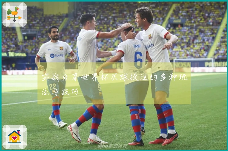 实战分享世界杯买球投注的多种玩法与技巧