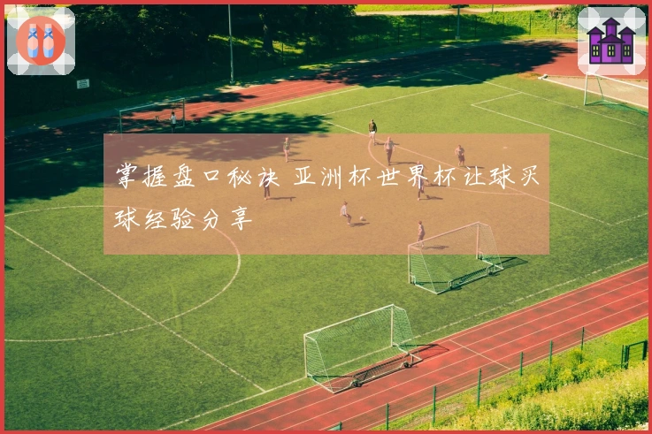 掌握盘口秘诀 亚洲杯世界杯让球买球经验分享