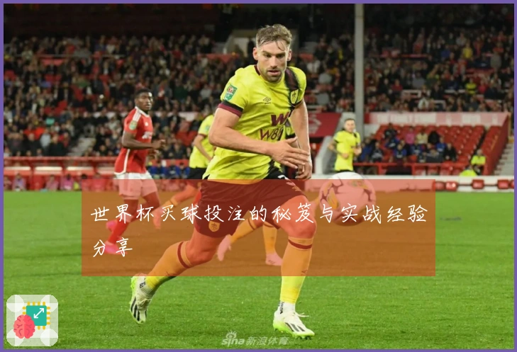 世界杯买球投注的秘笈与实战经验分享